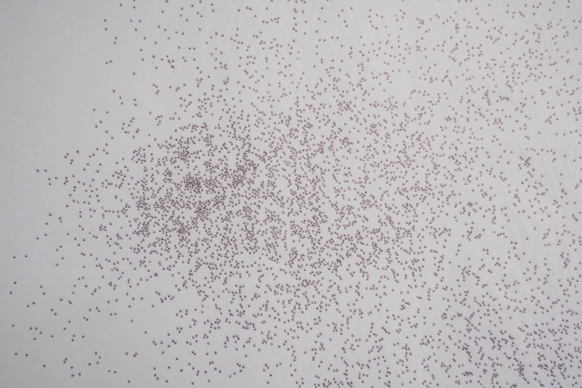 Zeitgenössisches Kunstwerk CERTAINS von Viktoria Strecker, Ansicht 5